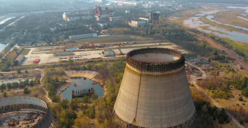 Ciuperci ce absorb radiaţii, de la Cernobîl, posibil scut împotriva radiaţiilor solare