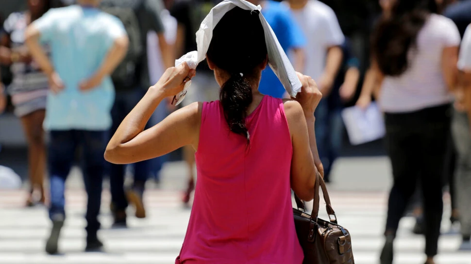 Valul de căldură din Europa a doborât recorduri de temperatură în Franța