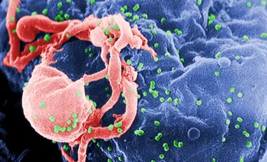 Noi imagini dezvăluie cum se formează virusuri precum HIV