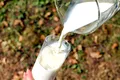 Nu bei lapte? Un nutriționist explică cum să-ți iei doza zilnică de calciu și alți nutrienți