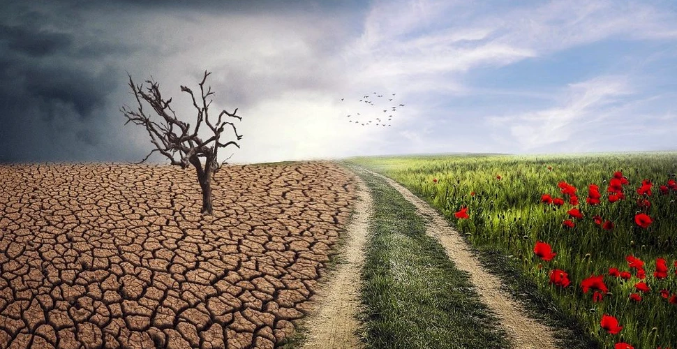 Neutralitate climatică până în 2050. Parlamentul European a aprobat Legea climei