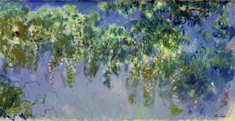 Wisteria, secretul din pânza lui Claude Monet