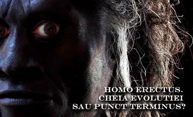 Homo erectus – cheia evolutiei sau punct terminus?