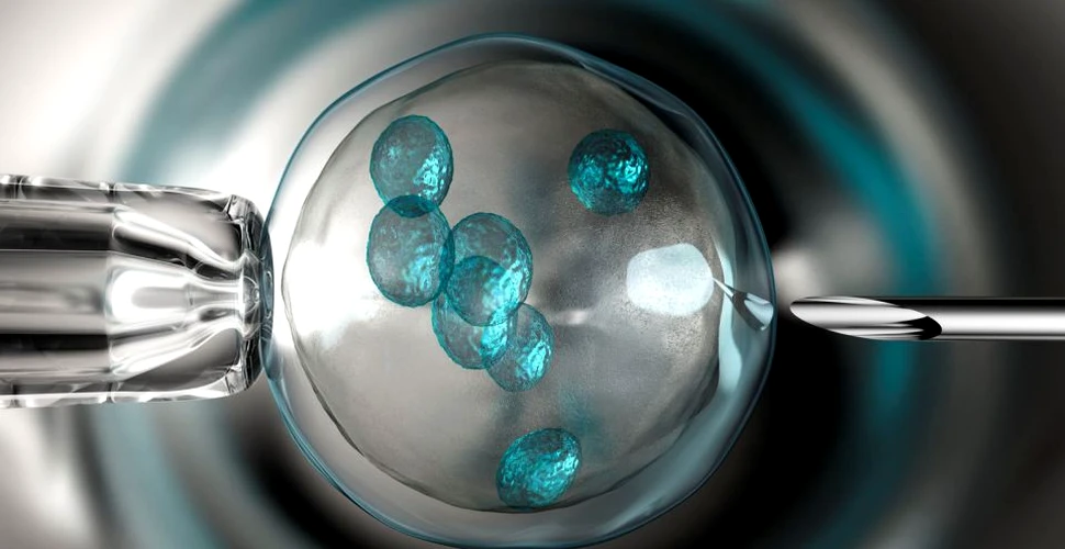 Fertilizarea in vitro: descriere, tratamente complementare, inseminare şi embriotransfer