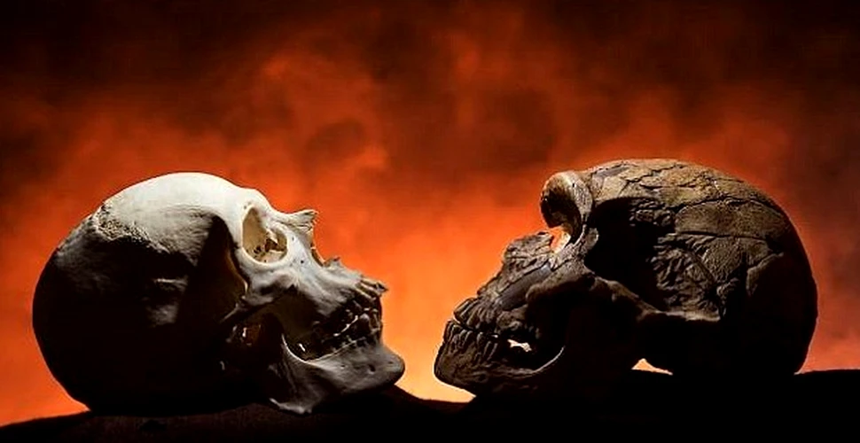 Fosilele primilor oameni oferă detalii neştiute până acum despre strămoşul omului. ”A devenit o emblemă ascuţită a părţii de jos”