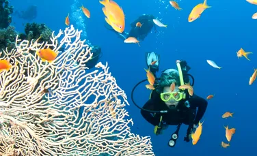 Marea Barieră de Corali, patrimoniu mondial în pericol? UNESCO cere Australiei să ofere garanţii de protecţie