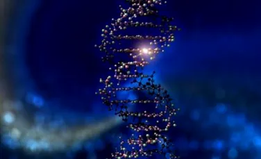 Au fost descoperite secvenţe de ADN uman în bacteria care provoacă gonoreea