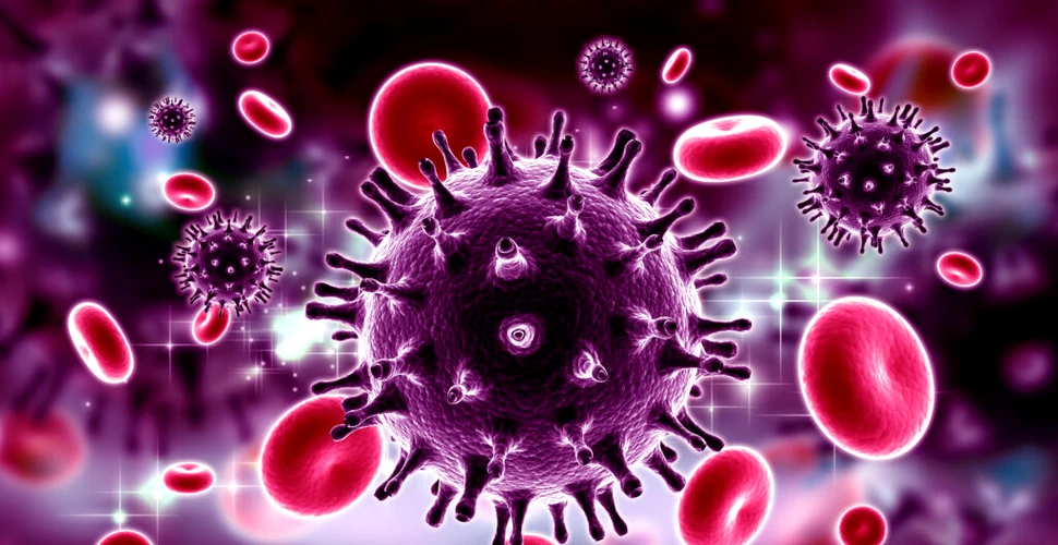 Noi simulări arată cum se strecoară virusul HIV în nucleul celulei