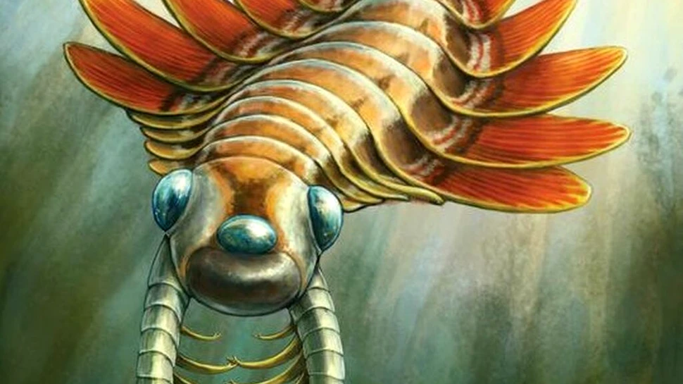 Un prădător bizar cu trei ochi exista în oceanele lumii acum jumătate de miliard de ani