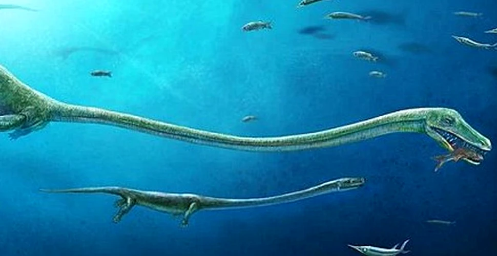 O reptilă marină cu gât lung, care a trăit înaintea dinozaurilor, năştea pui vii