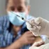Epidemie severă de gripă în Marea Britanie. Autoritățile au transmis un apel urgent pentru vaccinare