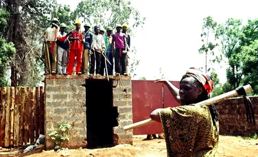 Wangari Maathai: povestea femeii care a plantat milioane de copaci