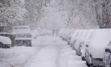 Test de cultură generală. De ce zăpada este albă?