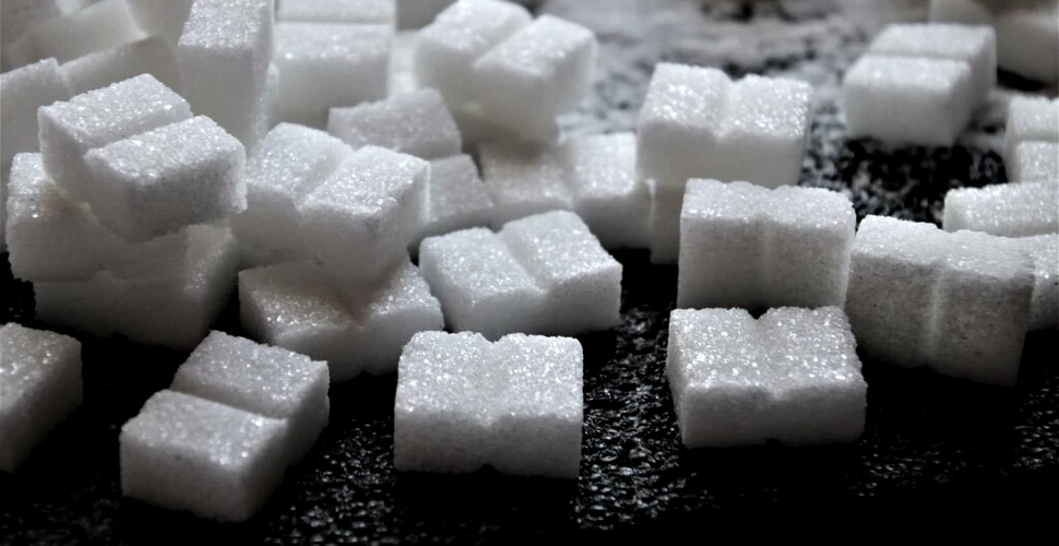 Zahărul modifică microbiomul și elimină protecția împotriva obezității și a diabetului