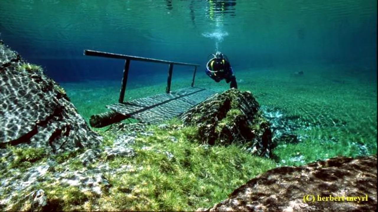 1-beautiful-underwater-meadow-640-28 