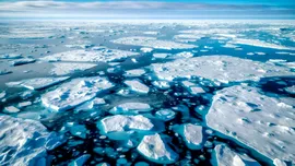 Viața a existat în Oceanul Arctic chiar și în erele glaciare, a descoperit o echipă internațională de cercetători