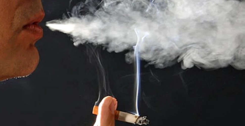 Fumatul “omoara” papilele gustative