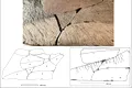 Fragmente din cea mai veche piatră runică databilă se potrivesc exact ca într-un puzzle