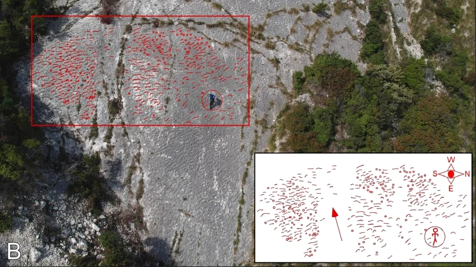 Alpiniști din Italia au descoperit accidental urmele unui „maraton” de acum 80 de milioane de ani