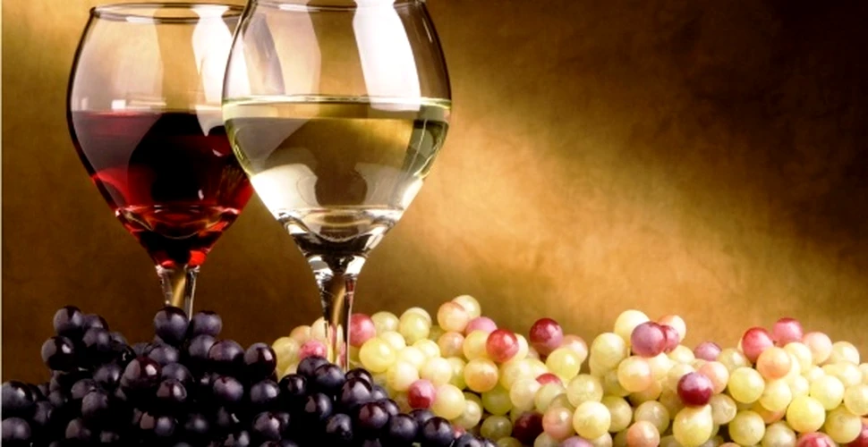Strugurii şi vinul ne salvează pielea – la propriu