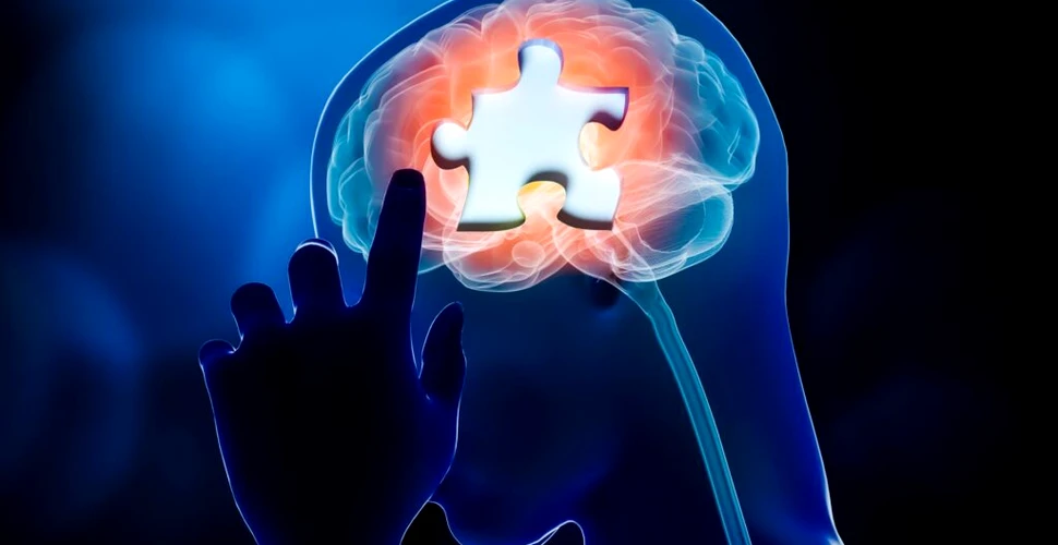 Amnezia după o leziune la cap ar putea fi cândva reversibilă, sugerează studiile