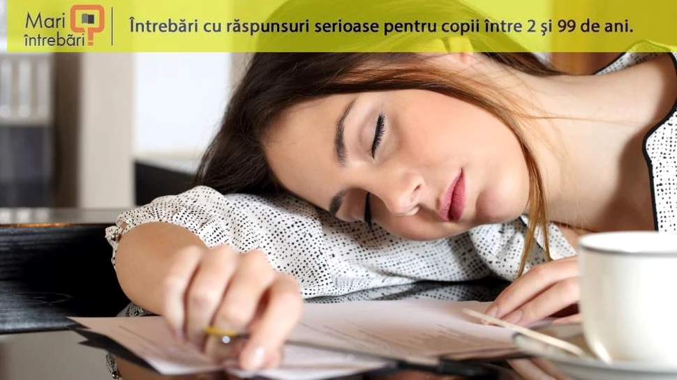 De ce îţi este somn după ce mănânci?