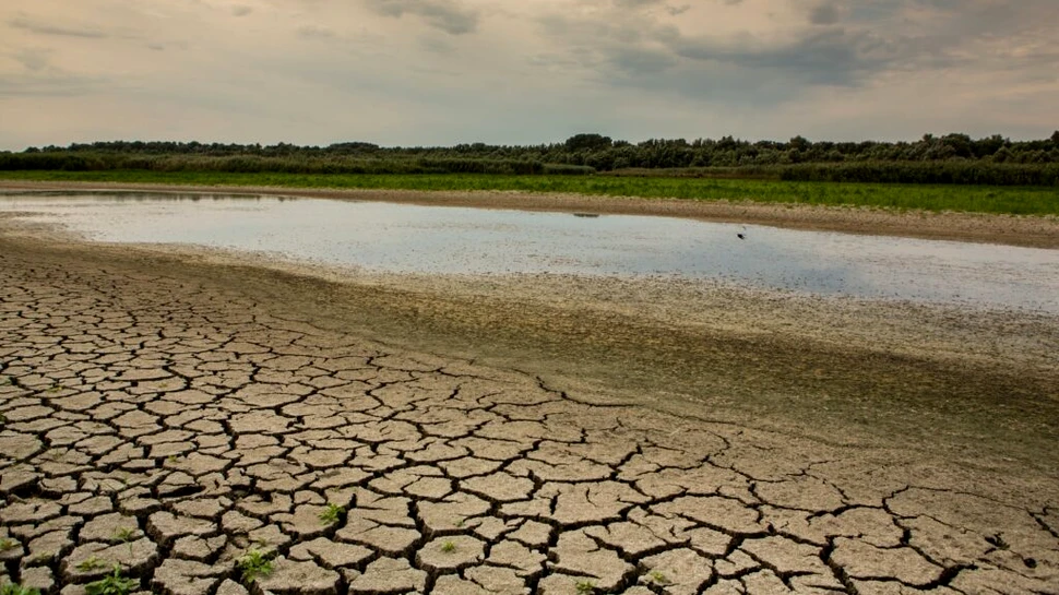 Industria agricolă din România a trecut printr-un an dezastruos