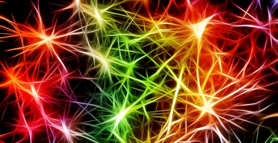 Cercetătorii au identificat o nouă genă care afectează funcționarea normală a neuronilor