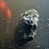 Directorul executiv al unui start-up crede că asteroizii ar putea salva Pământul