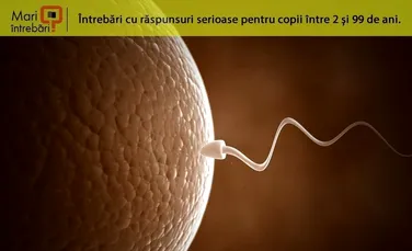 Ce se întâmplă când un spermatozoid întâlneşte un ovul?