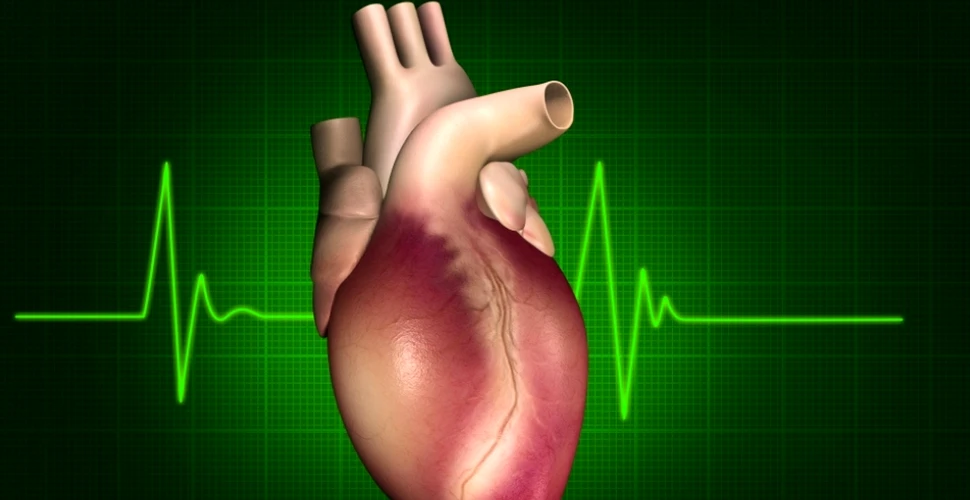 Două suplimente nutritive ar putea preveni decesul cardiovascular