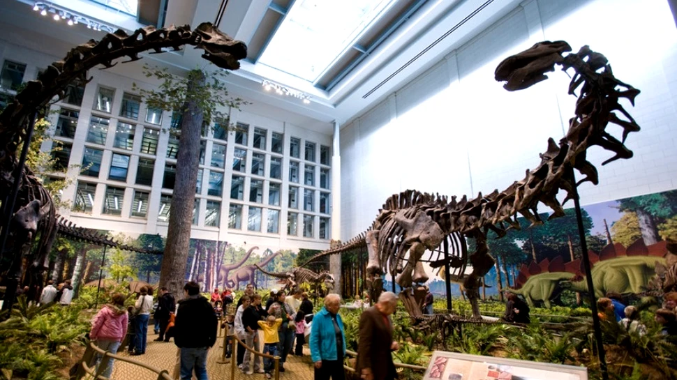 Brontozaurul – dinozaurul care n-a existat niciodată