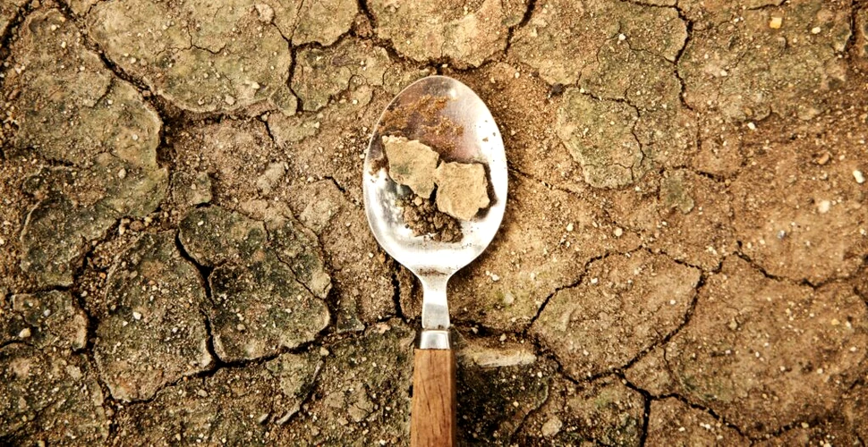 Schimbările climatice vor aduce foamete pe Pământ în următoarele decenii