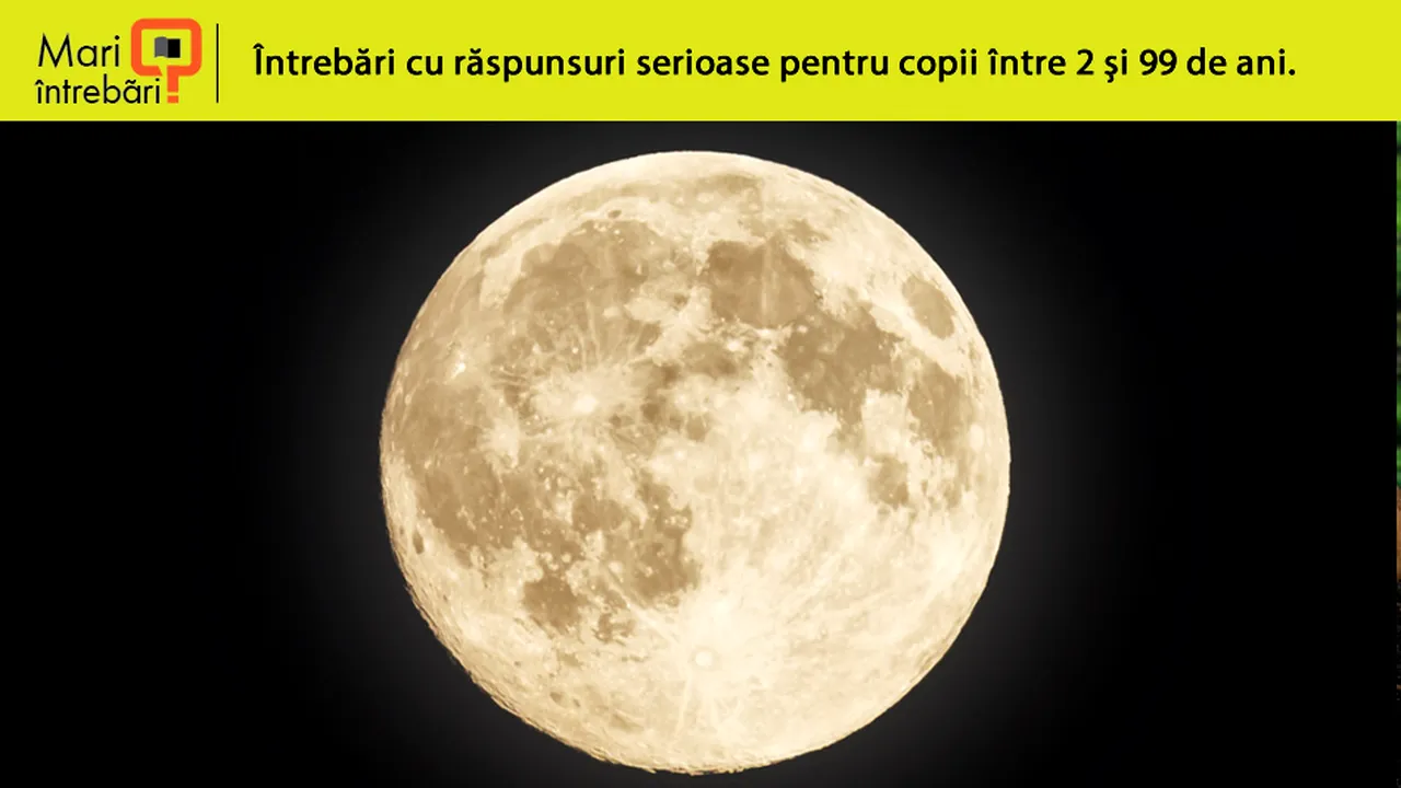 2-luna2 