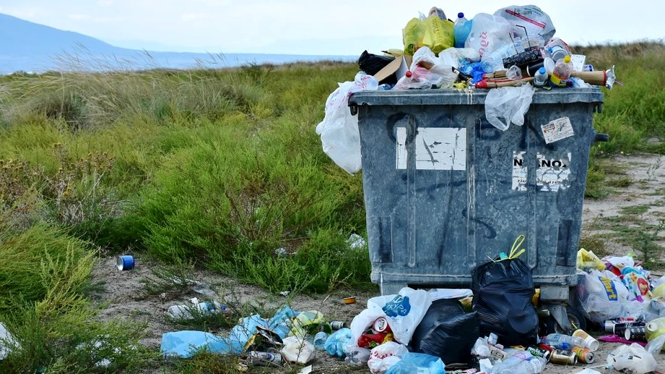 Câți dintre elevii români știu ce înseamnă reciclarea deșeurilor?