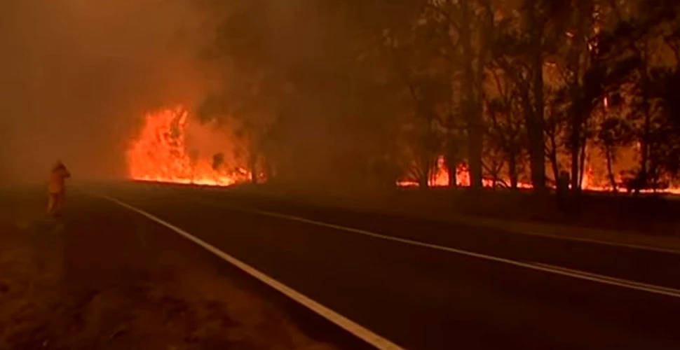 Incendiile din Australia, scăpate de sub control. Unul este de dimensiunea cartierului newyorkez Manhattan