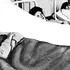 Mary Mallon, prima persoană identificată ca fiind purtătoare a febrei tifoide