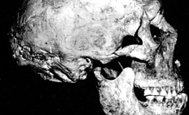 Neanderthalienii, tot mai asemanatori cu oamenii