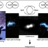Experiment uluitor reușit de oamenii de știință cu ajutorul Realității Virtuale