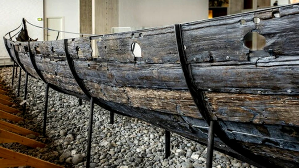 Scuturi vikinge „ceremoniale”, vechi de 1.100 de ani, erau de fapt folosite în luptă, sugerează un studiu