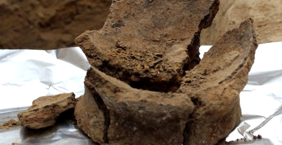 Aici a început totul! Cercetătorii au descoperit dovezile celui mai vechi vin din lume