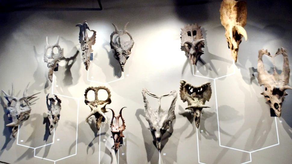 Munţii şi dinozaurii: o conexiune neaşteptată a fost descoperită de oamenii de ştiinţă