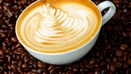 Creșterea temperaturilor la tropice ar putea însemna vești proaste pentru iubitorii de cafea
