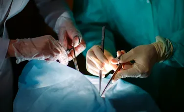 Medicii au transplantat, în premieră, un rinichi de porc la un om. „Este un moment de cotitură”