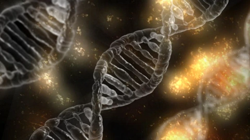 Oamenii au reuşit să proiecteze un organism al cărui cod genetic este în întregime sintetic