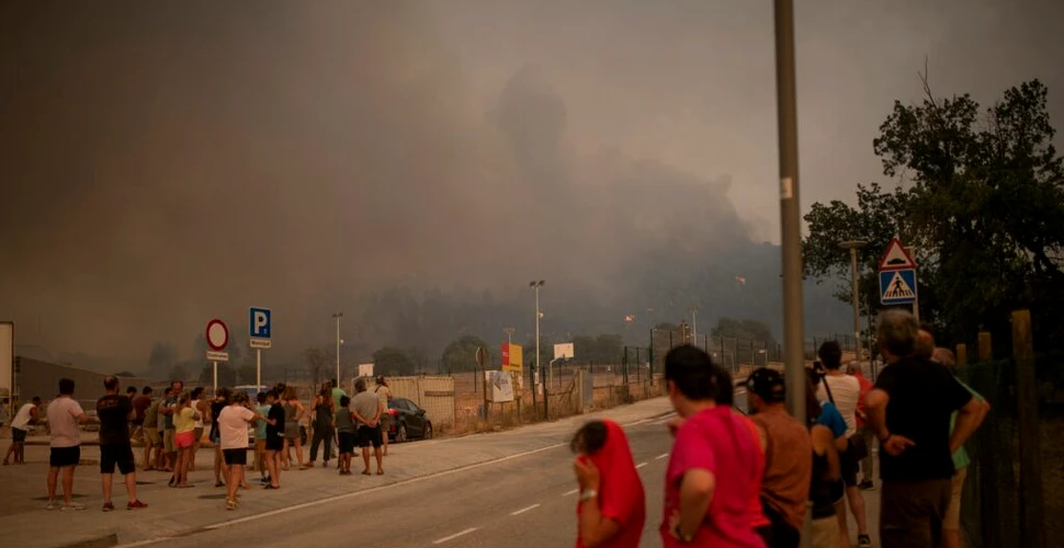 Incendiile de vegetație fac ravagii în Franța și Spania, valul de căldură afectează Europa