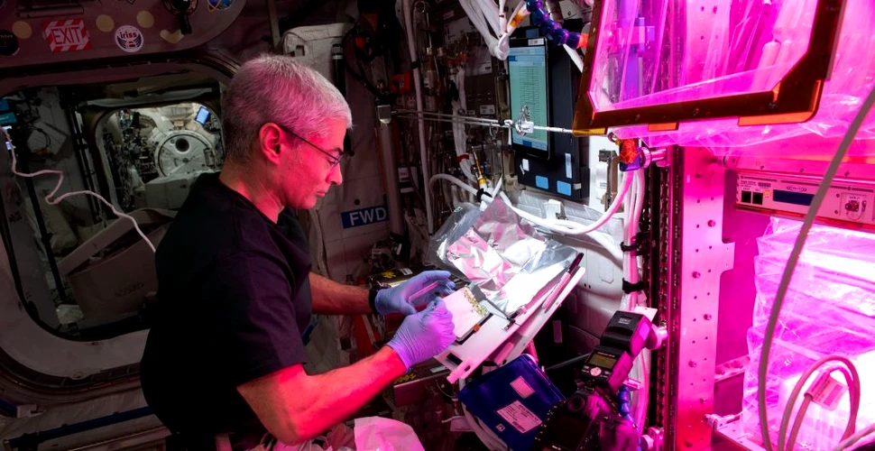 Rusia promite să nu-l abandoneze pe astronautul american Mark Vande Hei în spațiu