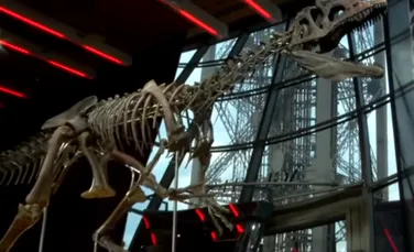 Scheletul unui dinozaur de 9 metri lungime a fost vândut pentru o sumă record. Vânzarea are urmări negative