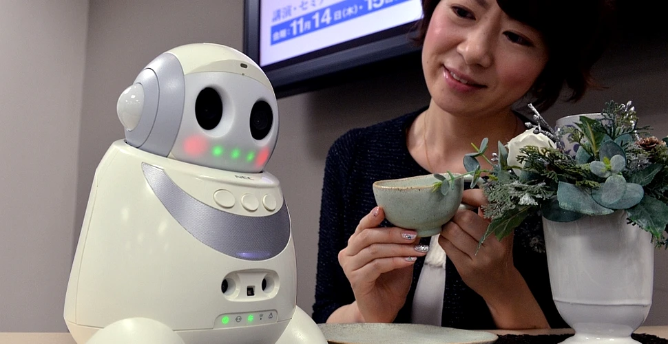 A fost dezvăluit cel mai nou robot de companie: „PaPeRo petit”