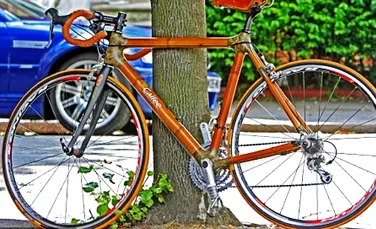 Bicicleta din bambus